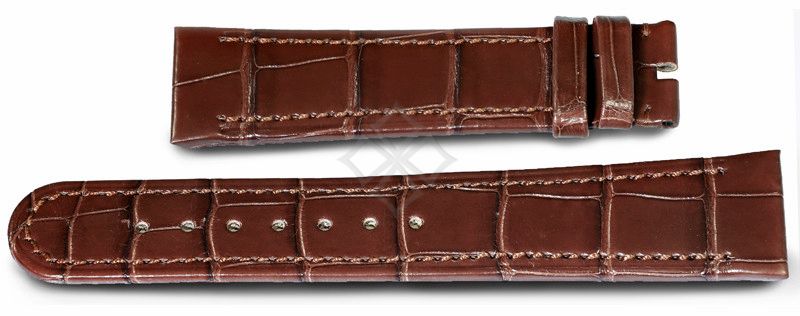 Ebel Tarawa dark brown crocodile watch band - 21mm wide - EB997